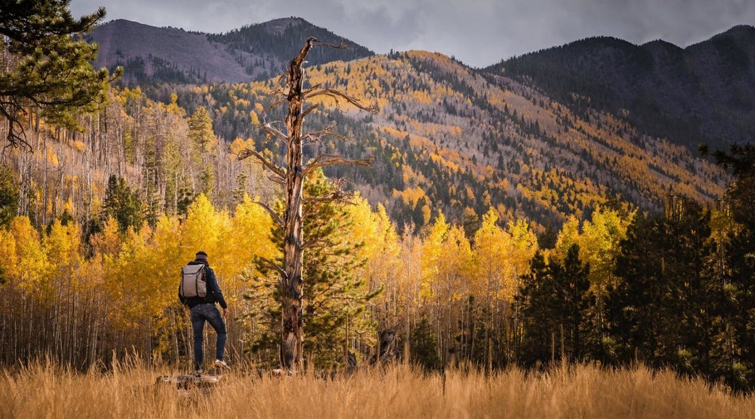 hiker enjoying fall colors in the mountains. 