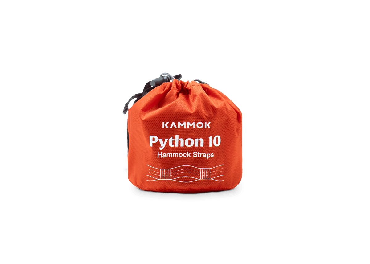 Python 10