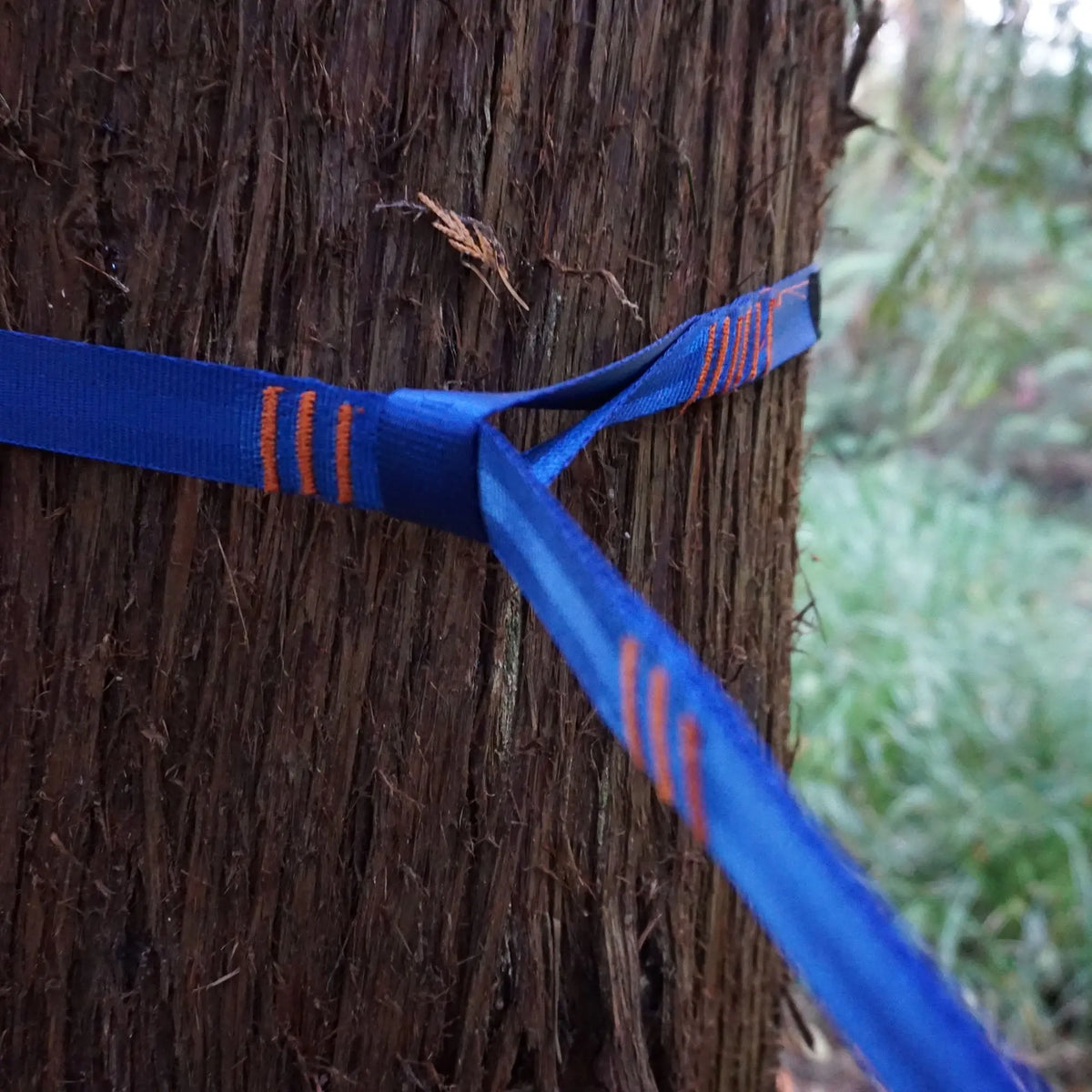 Trunk Straps - Hammock Suspension Straps GrandTrunk