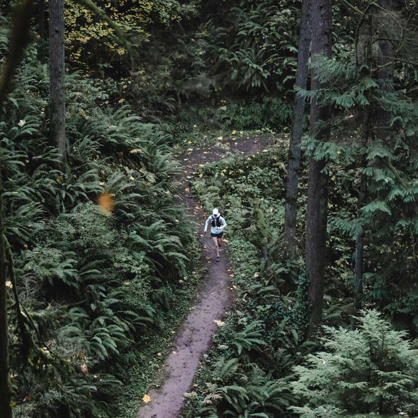 Looking down from above on a trail runner on a winding trail through lush green forest.