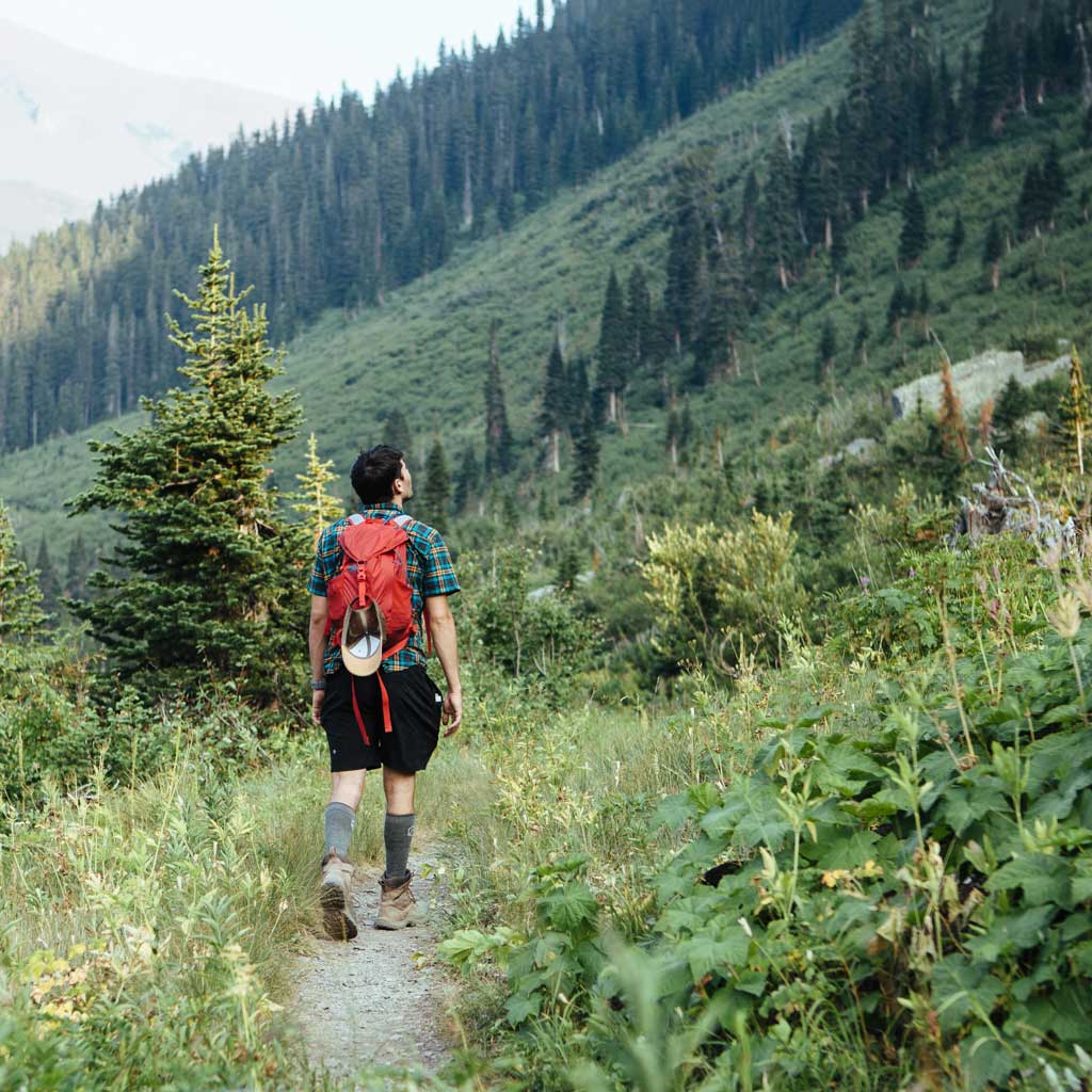 Man wearing Cloudline merino wool compression socks, hiking up trail with lush vegetation.