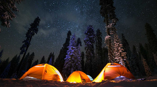 Illuminated tents in a dark forest campground: A tranquil night scene.