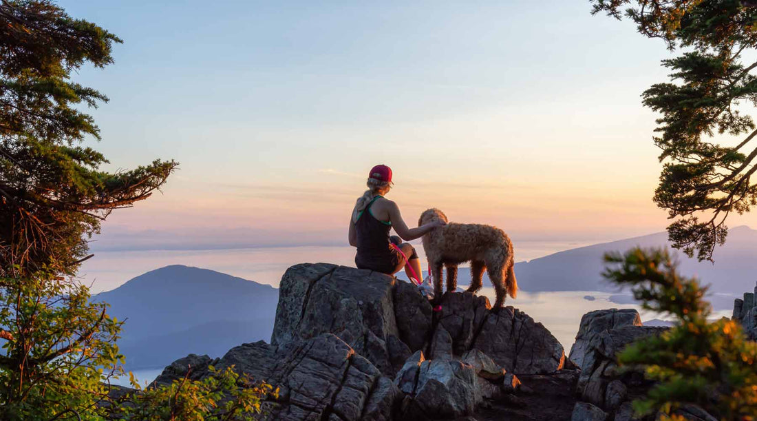 A hiker and dog enjoying the sunset view from a mountain top.