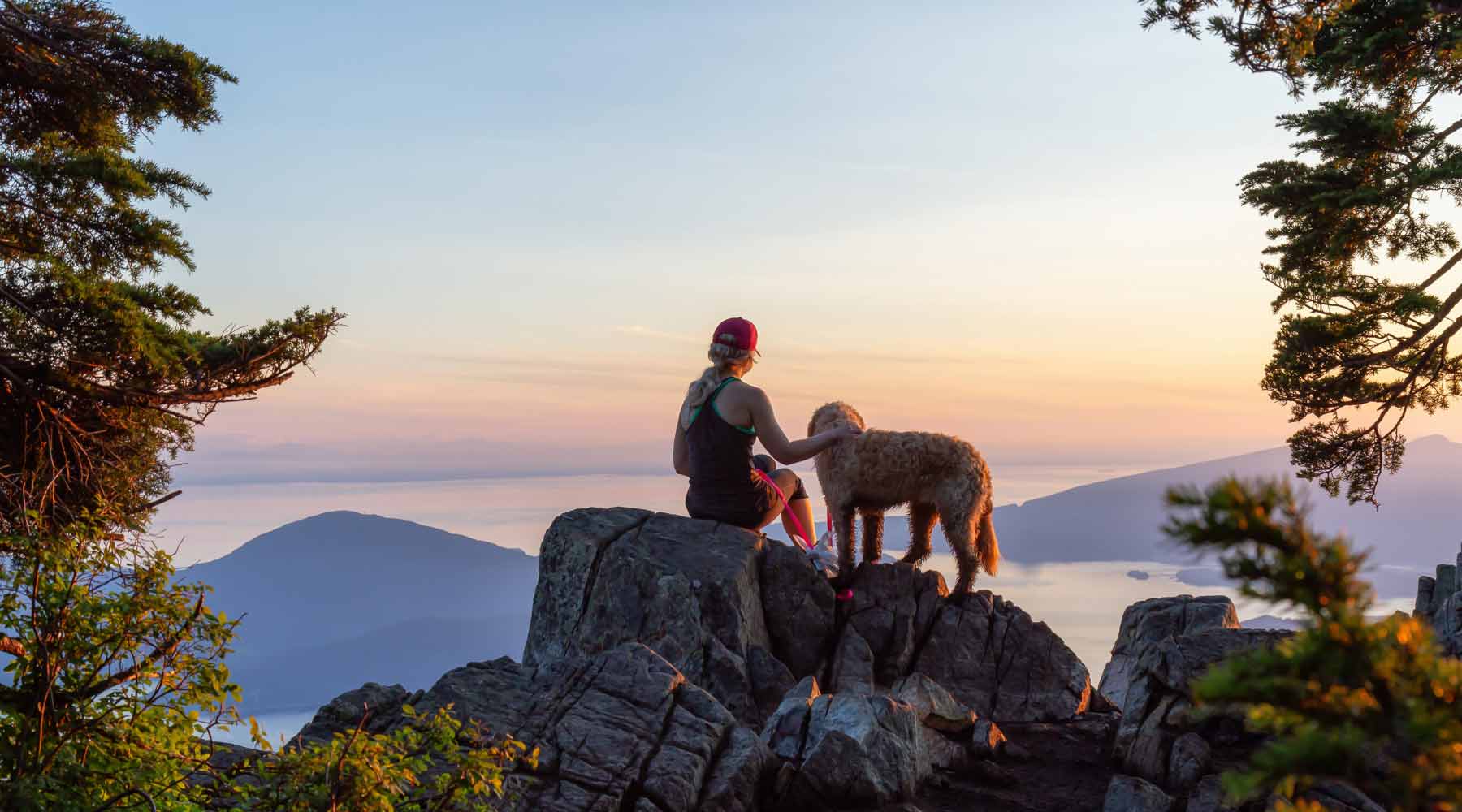 hiker and dog enjoying view from mountain top