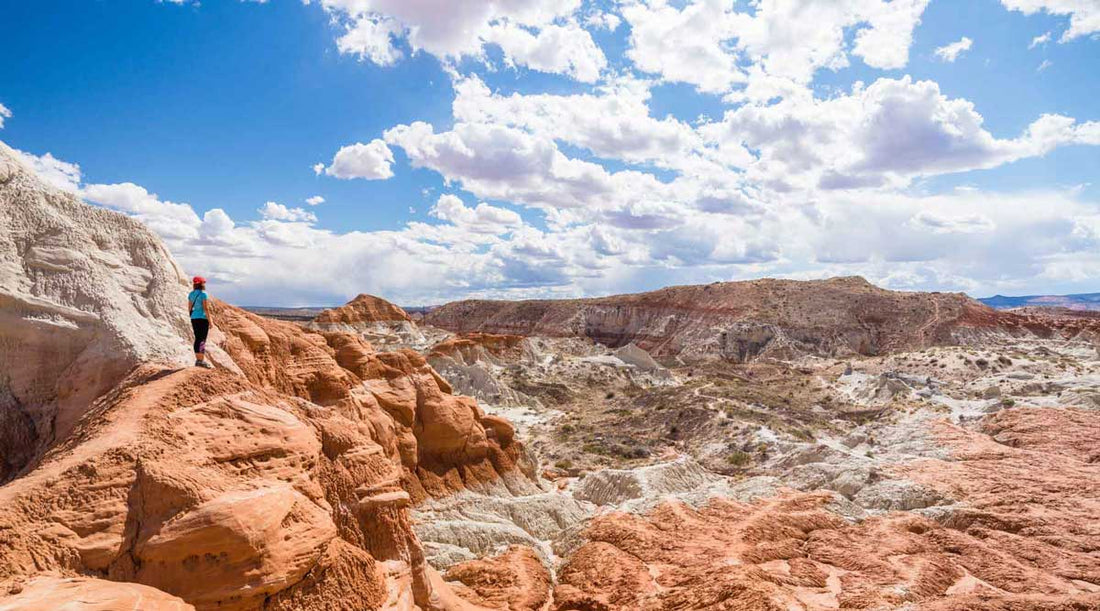 Backpacker gazing out over a desert trail.
