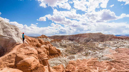 Backpacker gazing out over a desert trail.