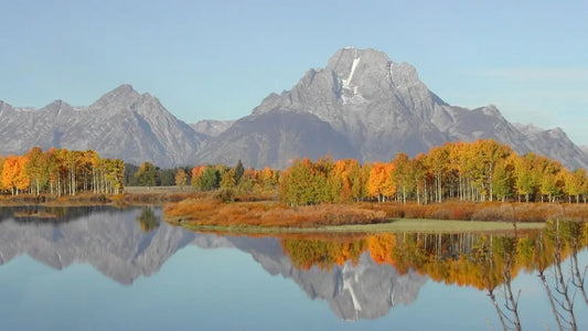 Image of a fall sunny day with mountains in the background and a fall-colored forest along a calm lake.
