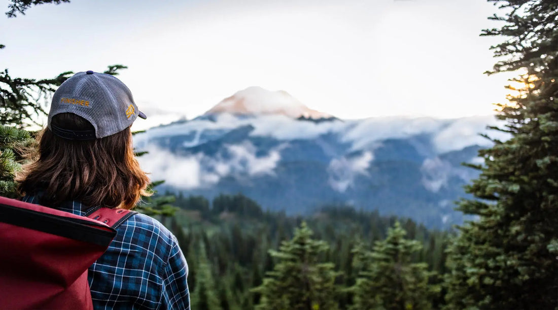 View from behind a hiker overlooking a Mountain View.