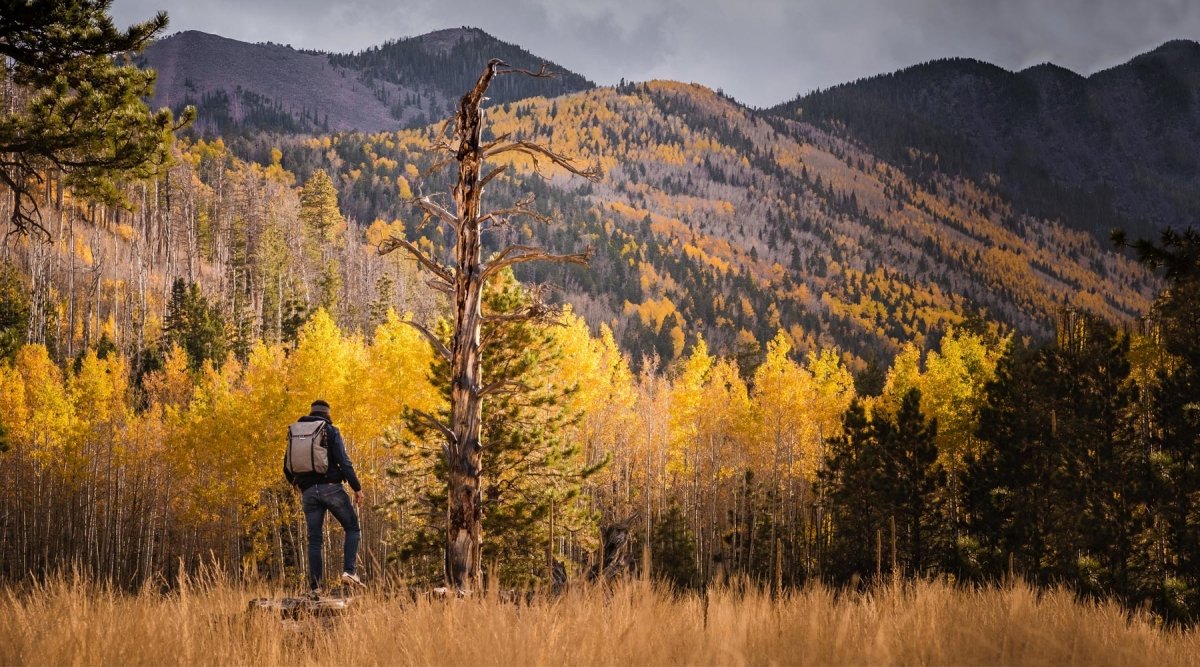 A Hiker's Ultimate Guide to Fall: How to Enjoy the Trails and Stay Safe This Season | Cloudline Apparel