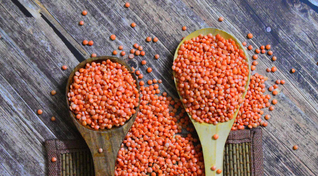 wooden spoonfuls of red lentils on picnic table.