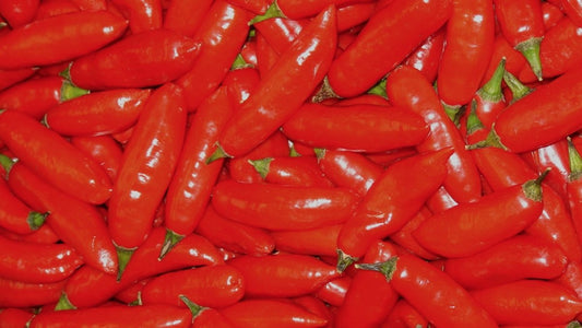 Spice Up Your Backpacking Meals with this Dehydrated Sriracha Powder | Cloudline Apparel