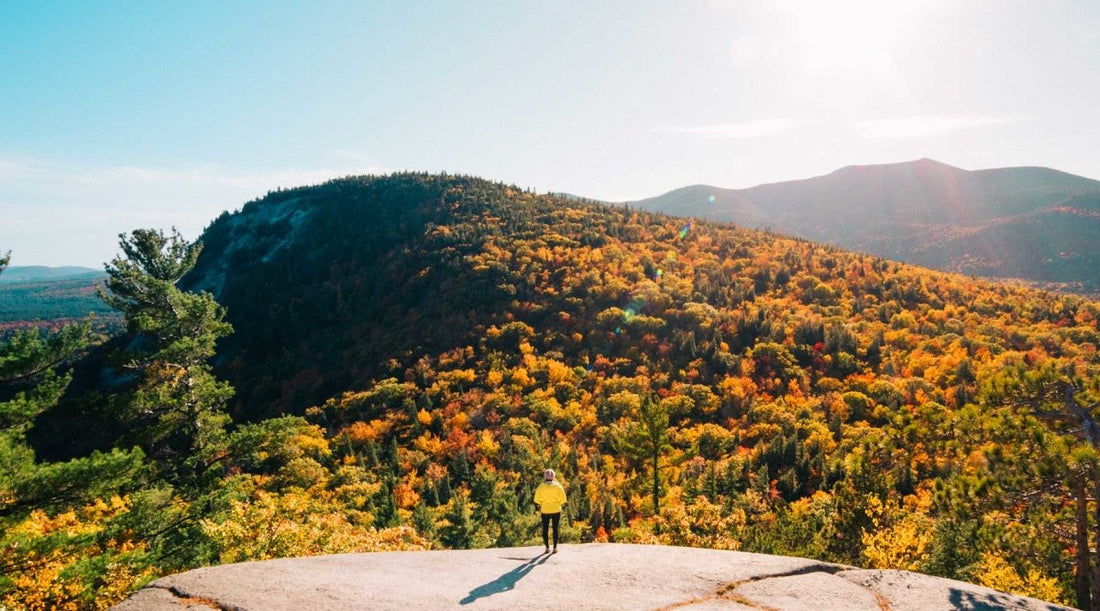 Hiker standing in front a scene of fall colors on a sunny fall day.