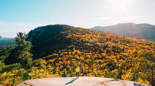 Hiker standing in front a scene of fall colors on a sunny fall day.