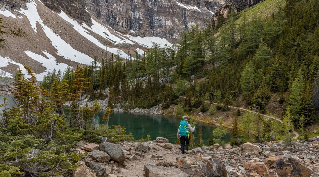 Ways to Care for the Environment on the Trail | Cloudline Apparel