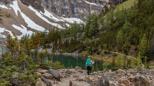 Ways to Care for the Environment on the Trail | Cloudline Apparel