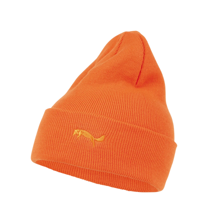 Wild Cuff Beanie Spacecraft