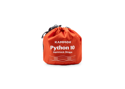Python 10