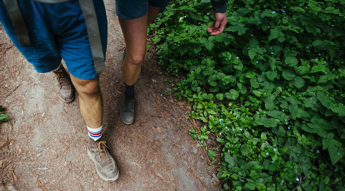 A close-up, high-angle view of a person hiking on a dirt trail next to dense green foliage. The person is wearing blue shorts, hiking boots, and striped socks.