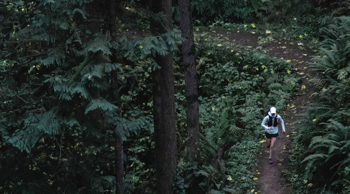 A person hiking on a dirt trail through a dense, dark green forest.