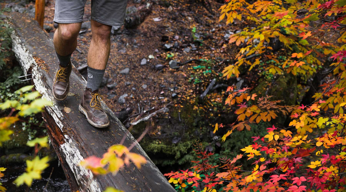 A person walking across a weathered wooden log bridge in a forest with colorful autumn foliage. The person is wearing gray shorts, Cloudline merino wool socks, and brown lace-up hiking boots.