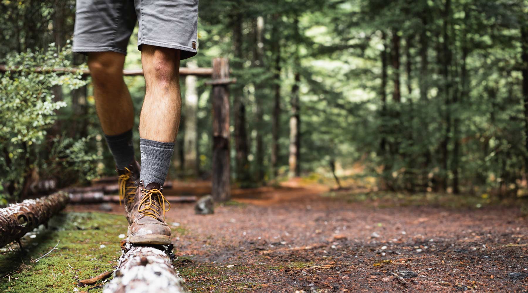 Hiker balancing on log along hiking trail