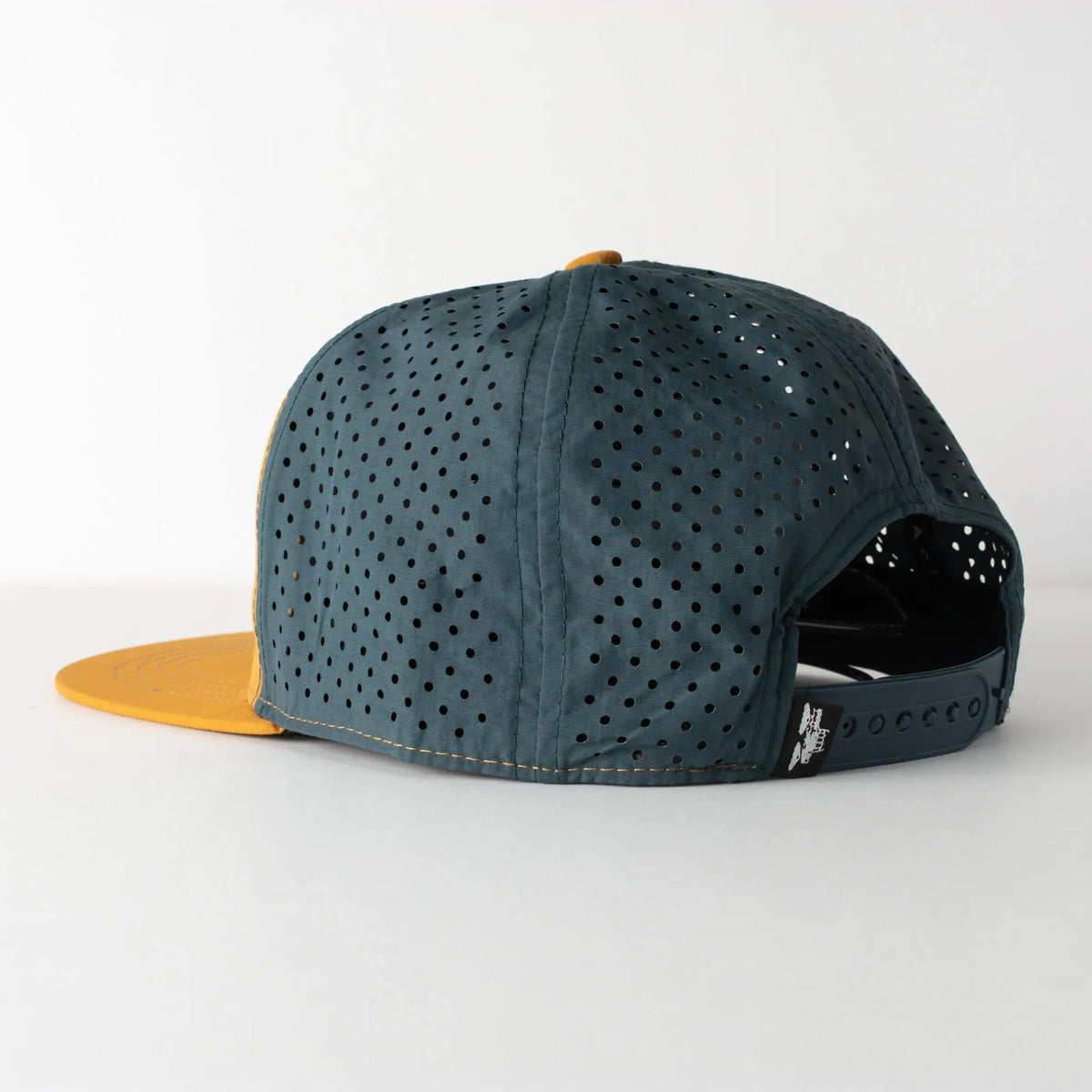 Salish Trucker Spacecraft