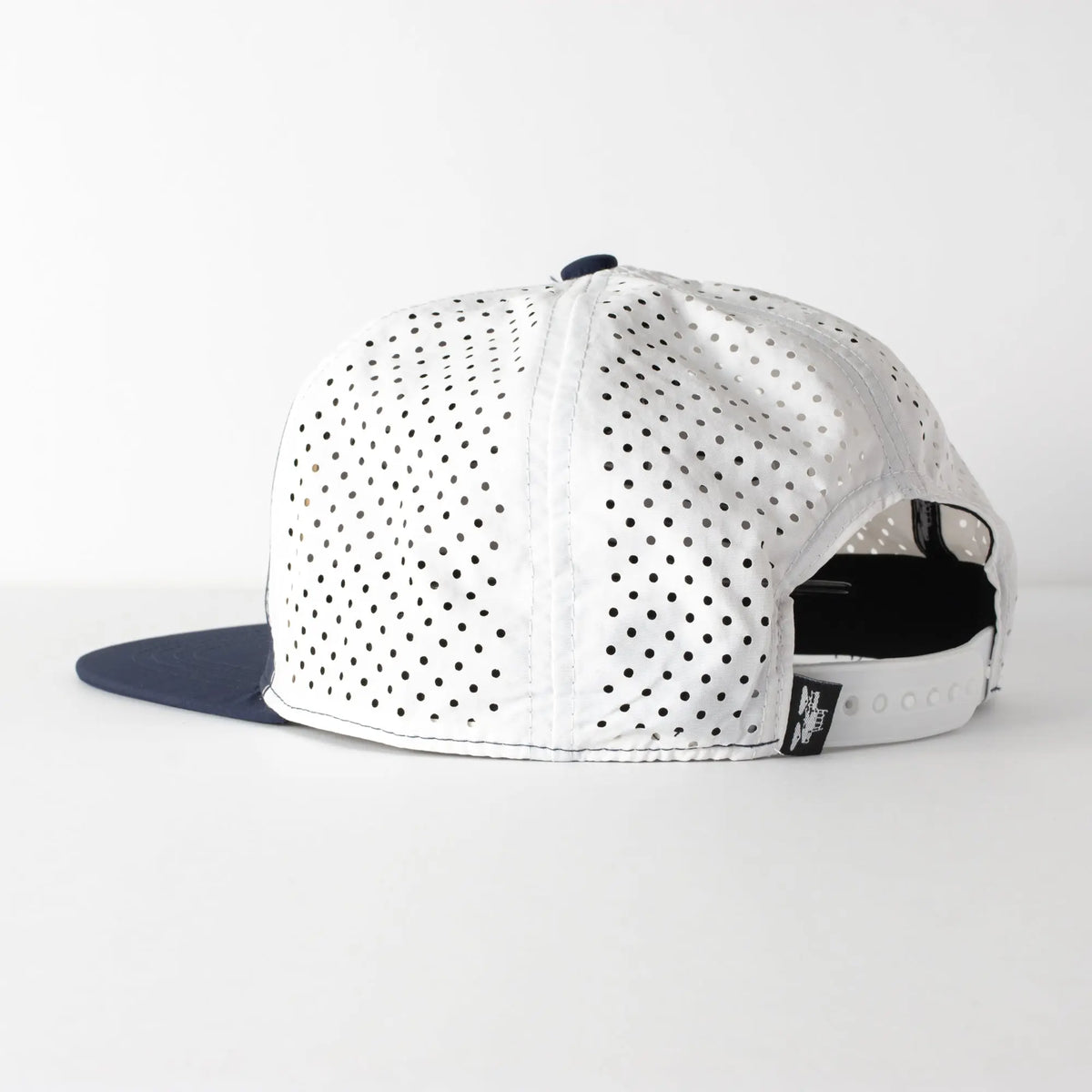 Salish Trucker Spacecraft
