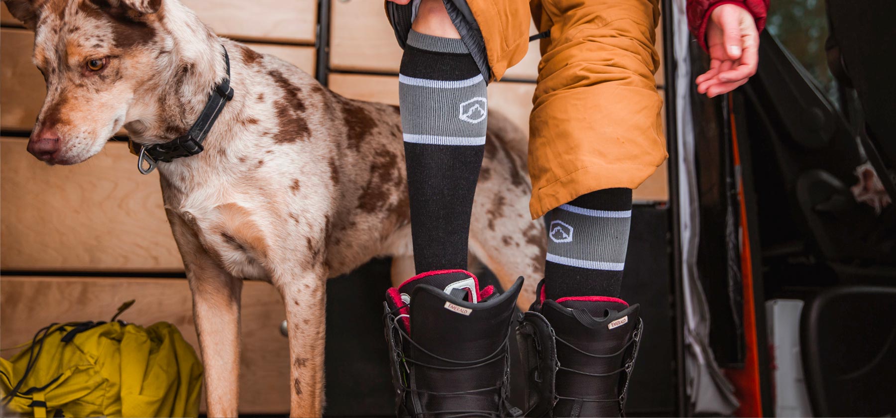 Snowboarder and dog standing in camper van putting on Cloudline socks and snowboard boots. 