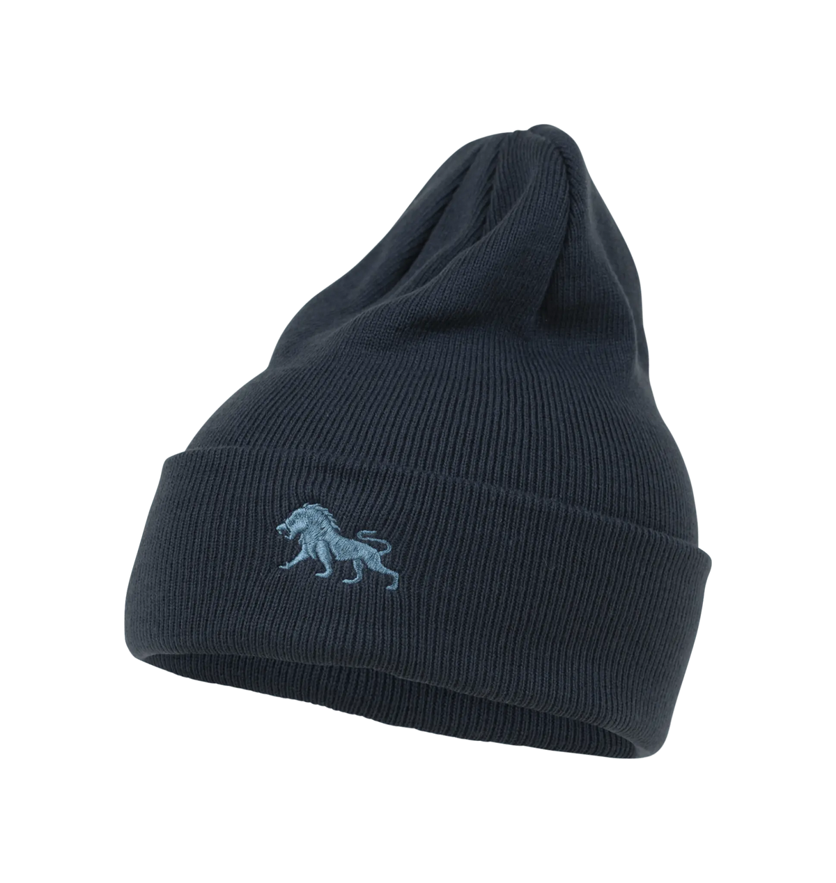 Wild Cuff Beanie Spacecraft