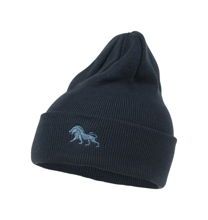 Wild Cuff Beanie Spacecraft