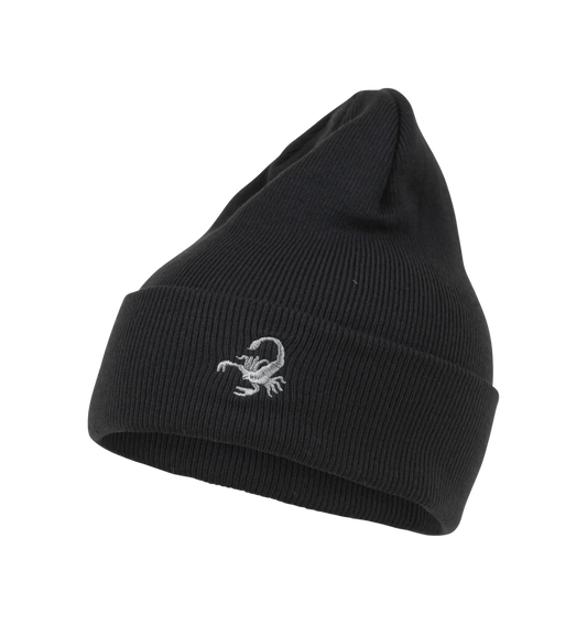 Wild Cuff Beanie Spacecraft