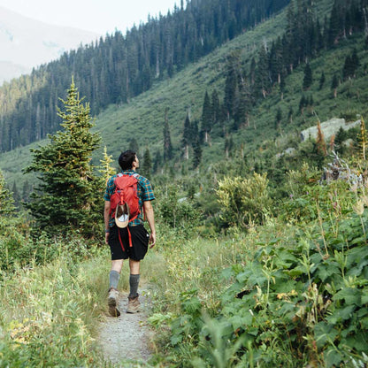 Man wearing Cloudline compression socks, hiking up trail with lush vegetation. 